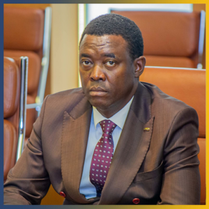 Djedouboum Emmanuel Ambroise, Conseiller technique aux Mines et à la Géologie du Ministre du Pétrole, des Mines et de la Géologie / Tchad